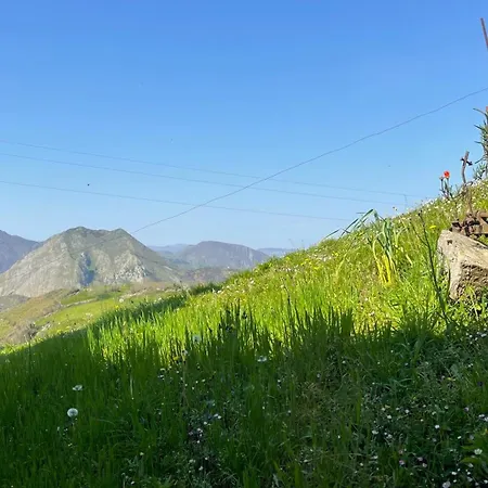 Casa El Collau I 度假居 *