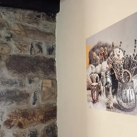 度假居 Casa El Collau I